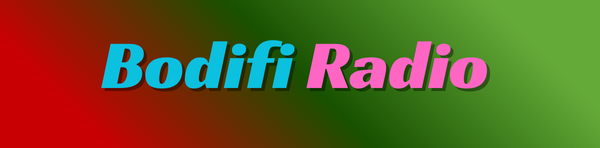 ریڈیو پورٹل – لائیو ایف ایم ریڈیو، میوزک اور خبریں | Bodifi.online
